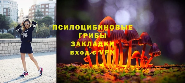 PSILOCYBIN Алзамай