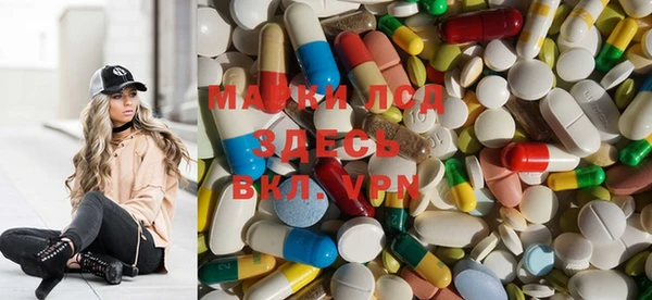 PSILOCYBIN Алзамай