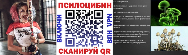купить  цена  Каргополь  ОМГ ОМГ tor  Псилоцибиновые грибы Psilocybe 